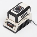 Зарядное устройство Daewoo Power DACH 2040Li 40 В