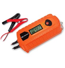 Зарядное устройство Daewoo DW500