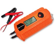 Зарядное устройство Daewoo DW800