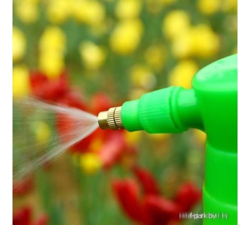 Компрессорный Deko DKSP05 065-0937 3 л