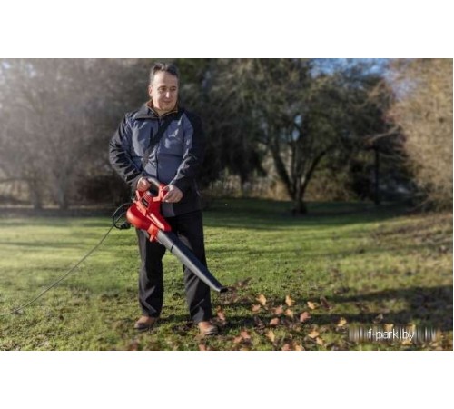 Ручная воздуходувка Einhell GC-EL 3000 E