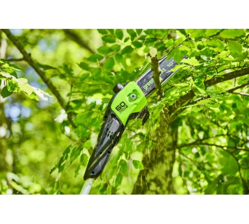 Высоторез Greenworks GD60PS (без АКБ)