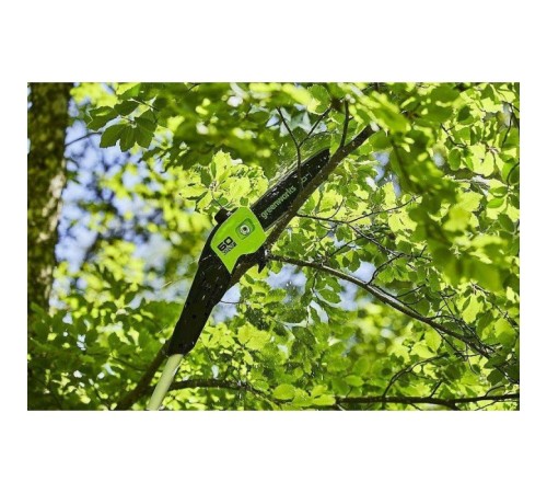 Высоторез Greenworks GD60PST25 (без АКБ и ЗУ)