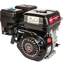 Двигатель бензиновый  Edon ДBCCE-196 7 л.с.