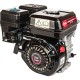Двигатель бензиновый  Edon ДBCCE-196 7 л.с.