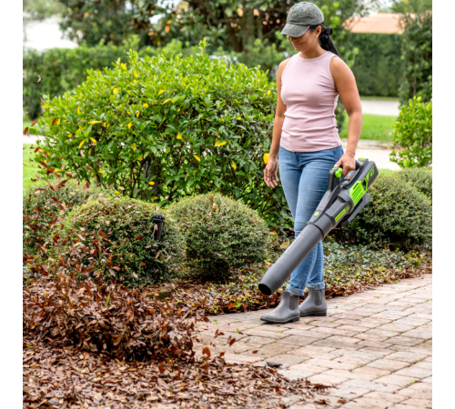 Воздуходувка Greenworks GD60AB (без АКБ)