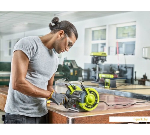 Заточный станок Ryobi RBG6G1