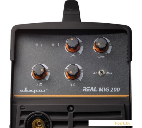 Сварочный инвертор Сварог Real MIG 200 N24002N (черный)