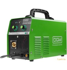 Сварочный инвертор DGM PROMIG-253E