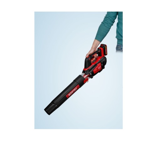 Ручная воздуходувка Wortex BB 2018 D ALL1