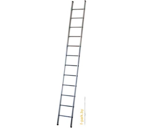 Лестница PRO Startul ST9945-12 12 ступеней