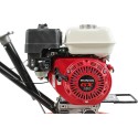 Затирочная машина RAD PT600-H 71059466