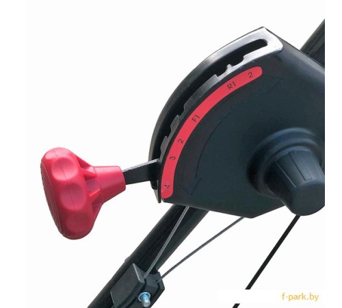 Подметальная машина бензиновая EVOline SWG 620-200