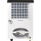 Осушитель воздуха Zanussi ZDH-25L