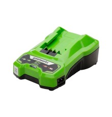 Зарядное устройство Greenworks G24C4 24V 4А