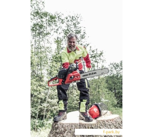 Бензопила AL-KO sbA 6646