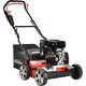 Скарификатор-аэратор бензиновый EVOline SCG 40 CP