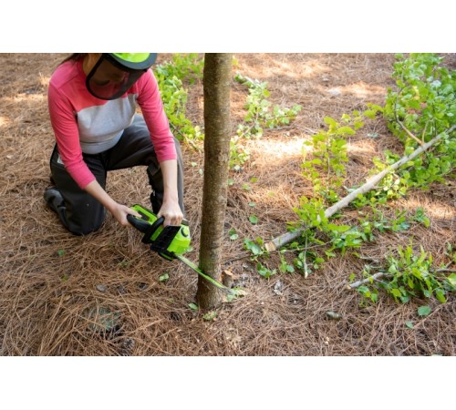 Аккумуляторная пила Greenworks 24V GD24CS30 (1xАКБ 2Ач и ЗУ)