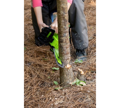 Аккумуляторная пила Greenworks 24V GD24CS30 (1xАКБ 2Ач и ЗУ)