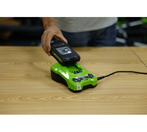 Зарядное устройство Greenworks G24C4 24V 4А