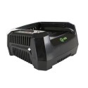 Зарядное устройство Greenworks GC82C 82V 4А