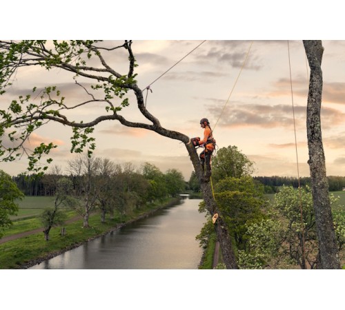 Бензопила Husqvarna T540XP Mark III