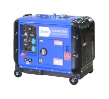 Дизельный сварочный генератор в кожухе TSS  PRO DGW 3.0/250ES-R