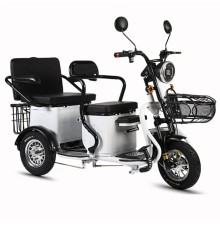 Электротрицикл Shtenli Model 31 SLA 60V