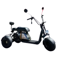 Электротрицикл CITYCOCO Е3