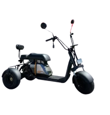 Электротрицикл CITYCOCO Е3