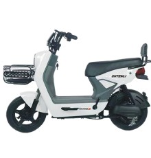 Электроскутер Shtenli Model 29 Performance