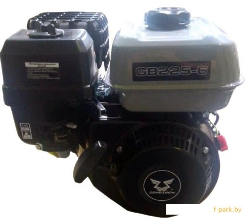 Бензиновый двигатель Zongshen GB225-6 1T90QW254