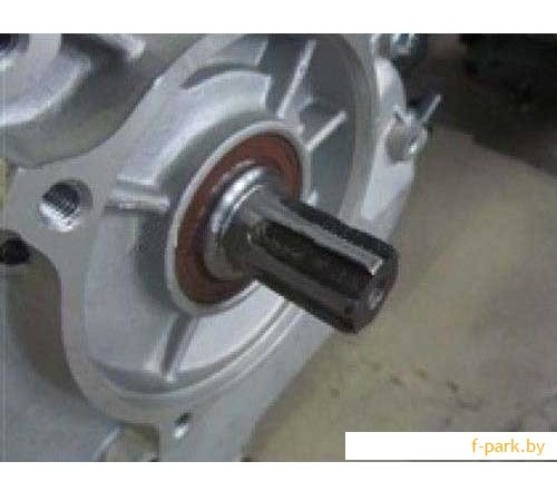 Бензиновый двигатель Stark GX450S