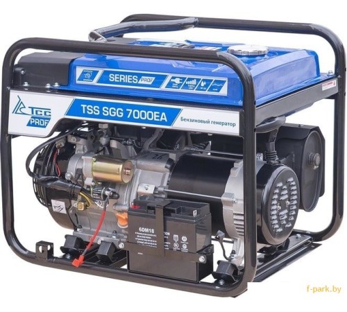 Генератор бензиновый TSS SGG 7000EA