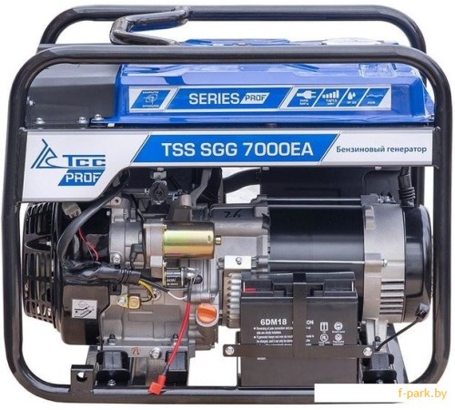 Генератор бензиновый TSS SGG 7000EA