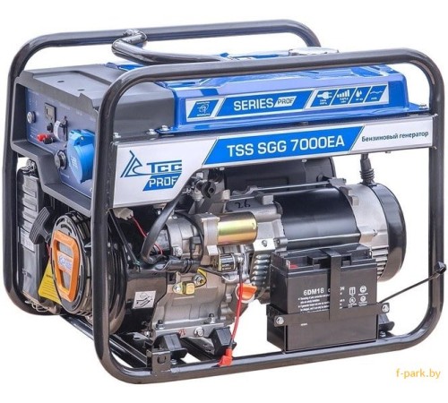 Генератор бензиновый TSS SGG 7000EA
