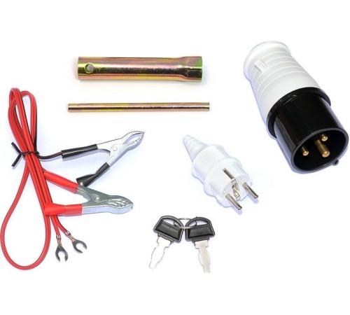 Генератор бензиновый TSS SGG 8000EHNA