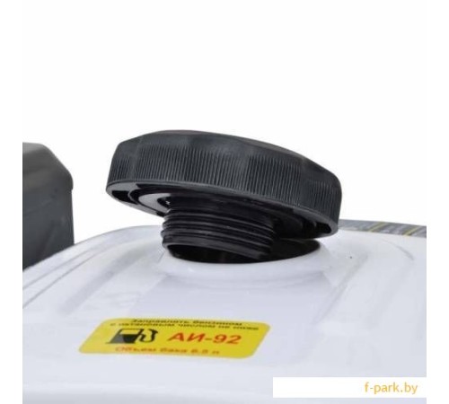 Бензиновый двигатель Skiper SKIPER N192F(K)