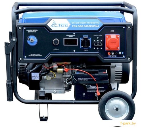 Генератор бензиновый TSS SGG 6000EH3NA