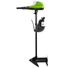 Лодочный мотор Greenworks G40TM55 40V (без АКБ и ЗУ)