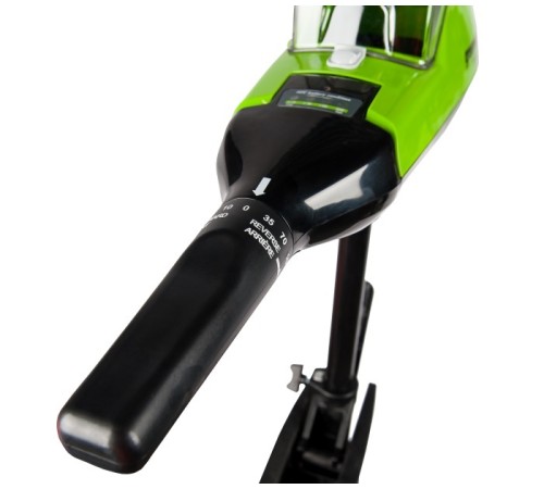 Лодочный мотор Greenworks G40TM55 40V (без АКБ и ЗУ)