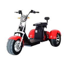 Электротрицикл CITYCOCO SMD 302