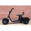 Трицикл CITYCOCO GT-X7 PRO (SMD 301 2000ВТ)