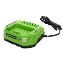 Зарядное устройство Greenworks 60V G60UC 2А