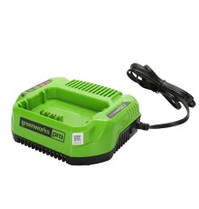 Зарядное устройство Greenworks 60V G60UC 2А