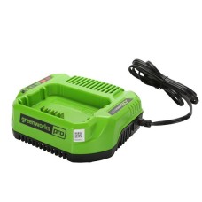 Зарядное устройство Greenworks G60UC (60В)