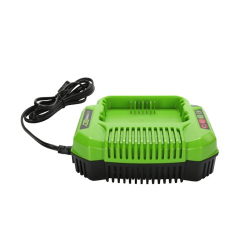 Зарядное устройство Greenworks G60UC (60В)