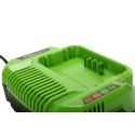 Зарядное устройство Greenworks G60UC (60В)