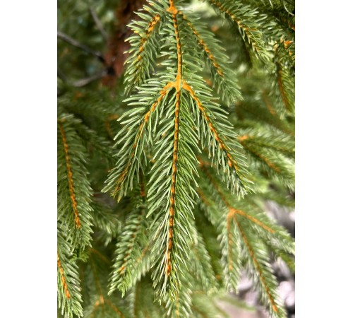 Ель искусственная GrandSiti Венеция 300см