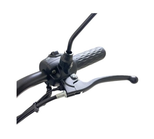 Трехколесный электроскутер CITYCOCO TRIKE GT-EV5